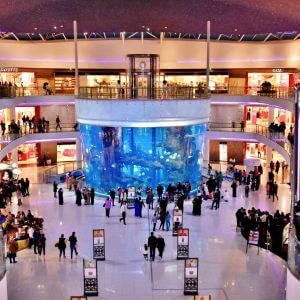 Buy Email List Databases UAE Emirates: Buy 125 000 Consumers Email Database who have visited aquariums in Malls in Dubai